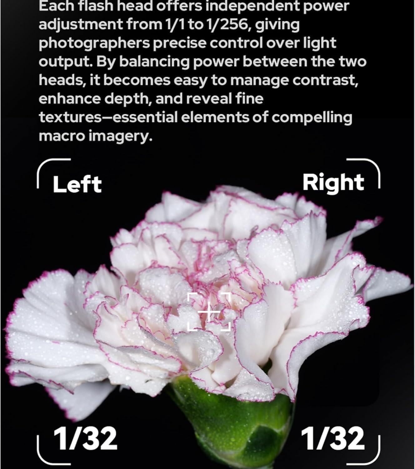 Godox MF-T76C TTL Flash Macro Doble para Canon con Difusores MF-DD