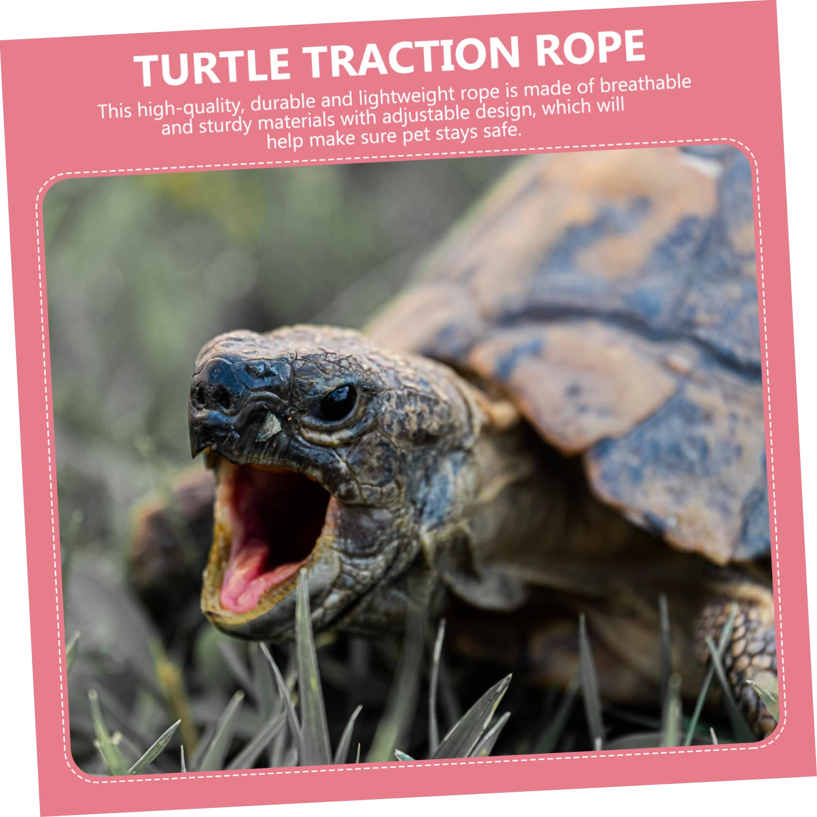 HEMOTON 1Pc Turtle Pulling Rope Tortoise Leash for Outdoor Walking Lightweight and Durable Hauling Rope for Pet Safety and Control Present for