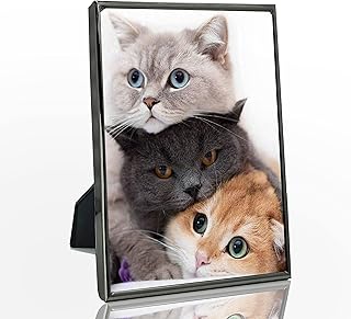 DECANIT 4x6 Picture Frame Metal, Thin Edge Photo Frames For Tabletop Dis...