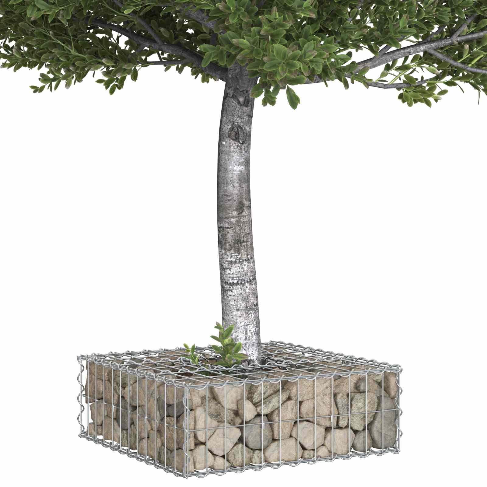 vidaXL Podniesione łóżko gabionowe 60 x 60 x 20 cm Stal Galwanizowana