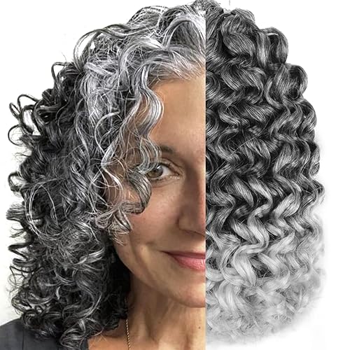 Silke - Paquete de 6 extensiones de cabello rizado Gogo rizado con ondas oceánicas para mujeres (10 pulgadas, Tgris)