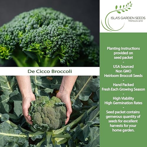 Miniatura 2 de De Cicco - Semillas de brócoli (Brassica oleracea), más de 300 semillas sin OMG y reliquias de Isla's Garden Seeds, reliquia italiana para cosechas
