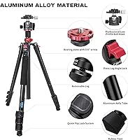 Vista 9 de CAVIX - Trípode de viaje CAVIX de 78 pulgadas para cámaras, trípode de 78 pulgadas, trípode ligero con cabezal de bola de 360 grados que carga hasta