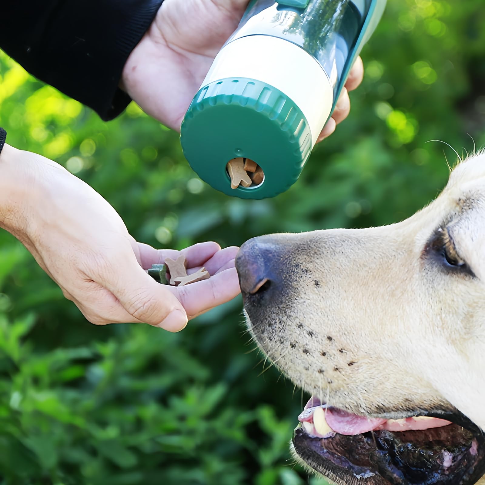 PORFOYO Borraccia da 600 ml per Cani, da Viaggio
