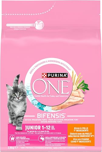 ONE Bifensis Junior PURINA