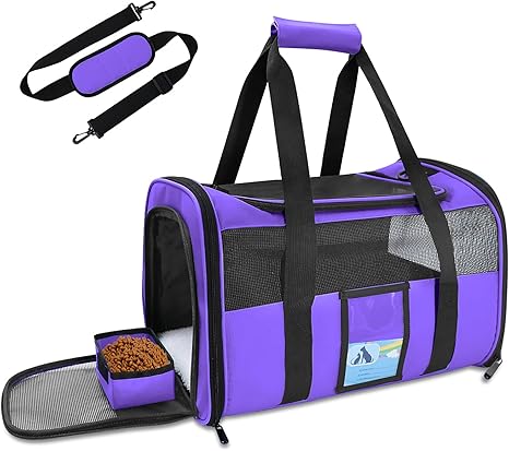 custom pet carrier