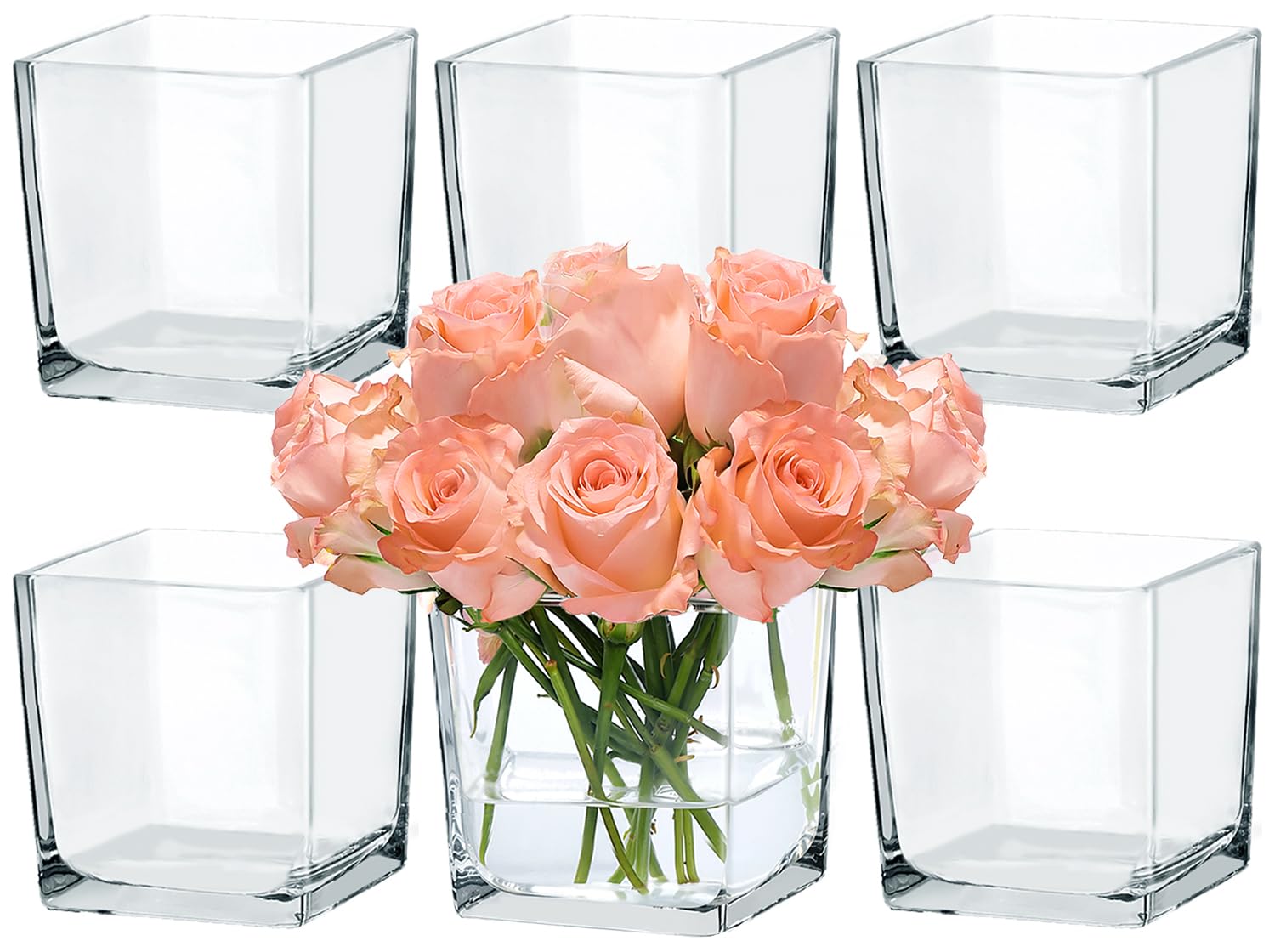 Photo 1 of CONNOO 6 Pack Square Glass Vase 5" x 5" x 5", Clear Bulk Flower Vases for Centerpieces, Square Glass Cube Vase Floating Candle Holders for Wedding Party Home Decor