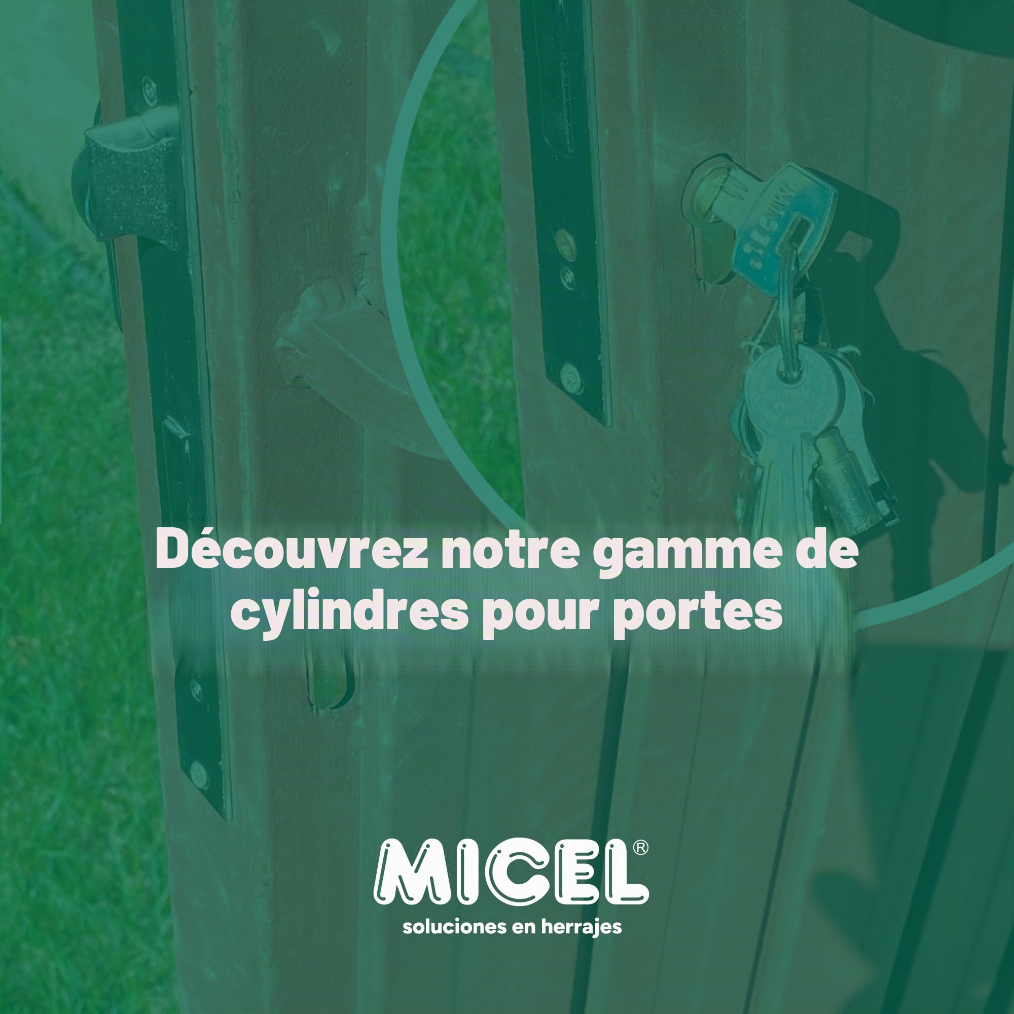 MICEL - 13096 - Cylindre de sécurité, profil européen, à came longue, décalé 40 x 80, avec clés, finition nickel, argenté, 120 x 17 x 33 mm