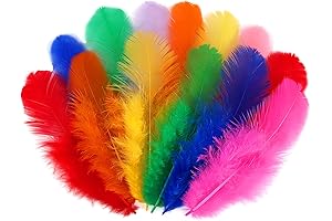 500 pcs Colorful Rooster Craft Feathers
