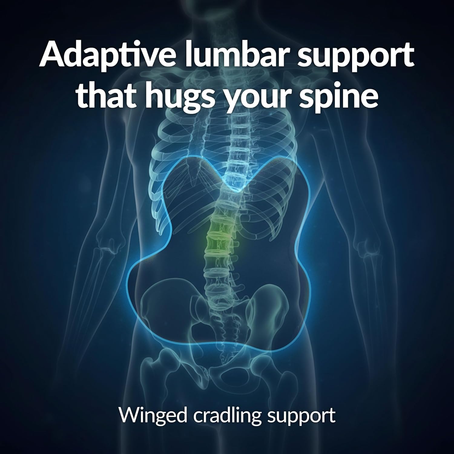 everlasting comfort lumbar support pillow for office chair - memory foam back cushion for car seat - promotes better posture, back pain relief - ideal gaming and desk chairs work and home essentials b. black premium comfort