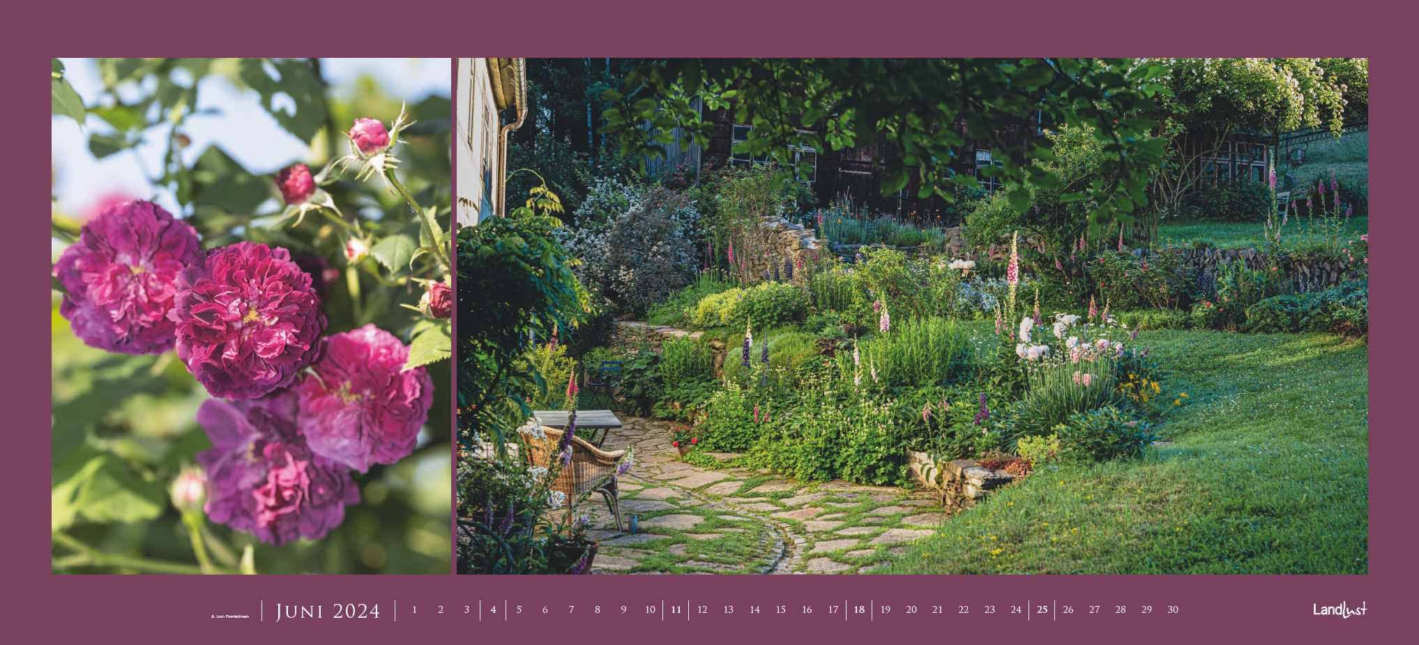 Landlust Panorama: Garten-Kontraste 2024 Wand-Kalender - Panorama-Kalender - Fotografie - Gartenkalender 110x50