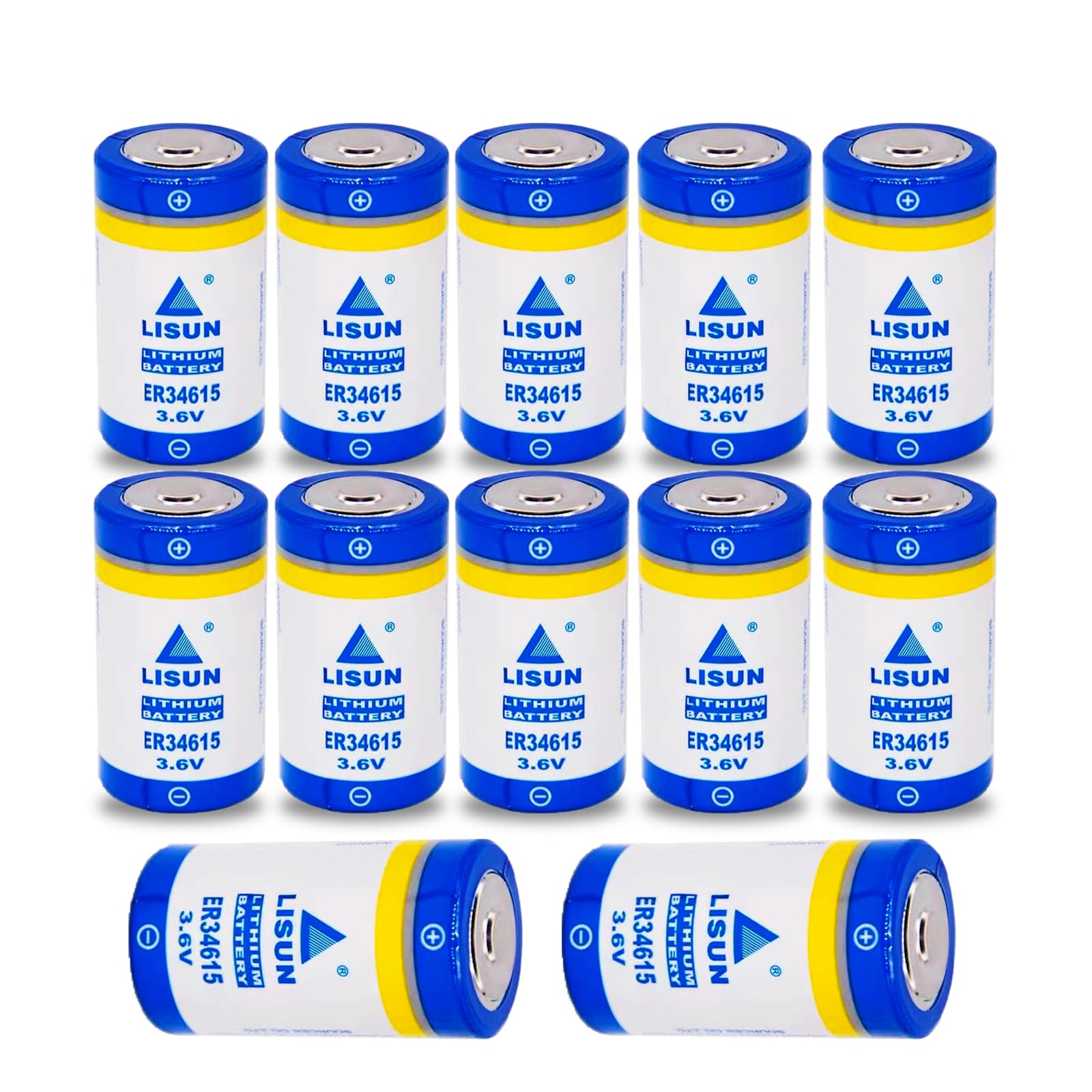 HDSBFCWYGG <- 12 Pack -> ER34615 3.6v 19000mah Size D Battery for LISUN Multipurpose PLC Programmer