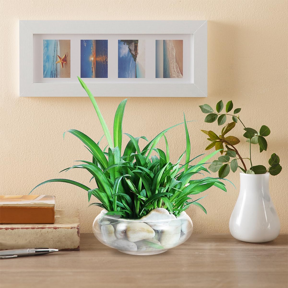 Happyyami Klare Glasvase Für Fische Und Pflanzen Runde Aquarium-vase Elegantes Terrarium Und Pflanzgefäß Für Heimdekoration Und Hochzeiten