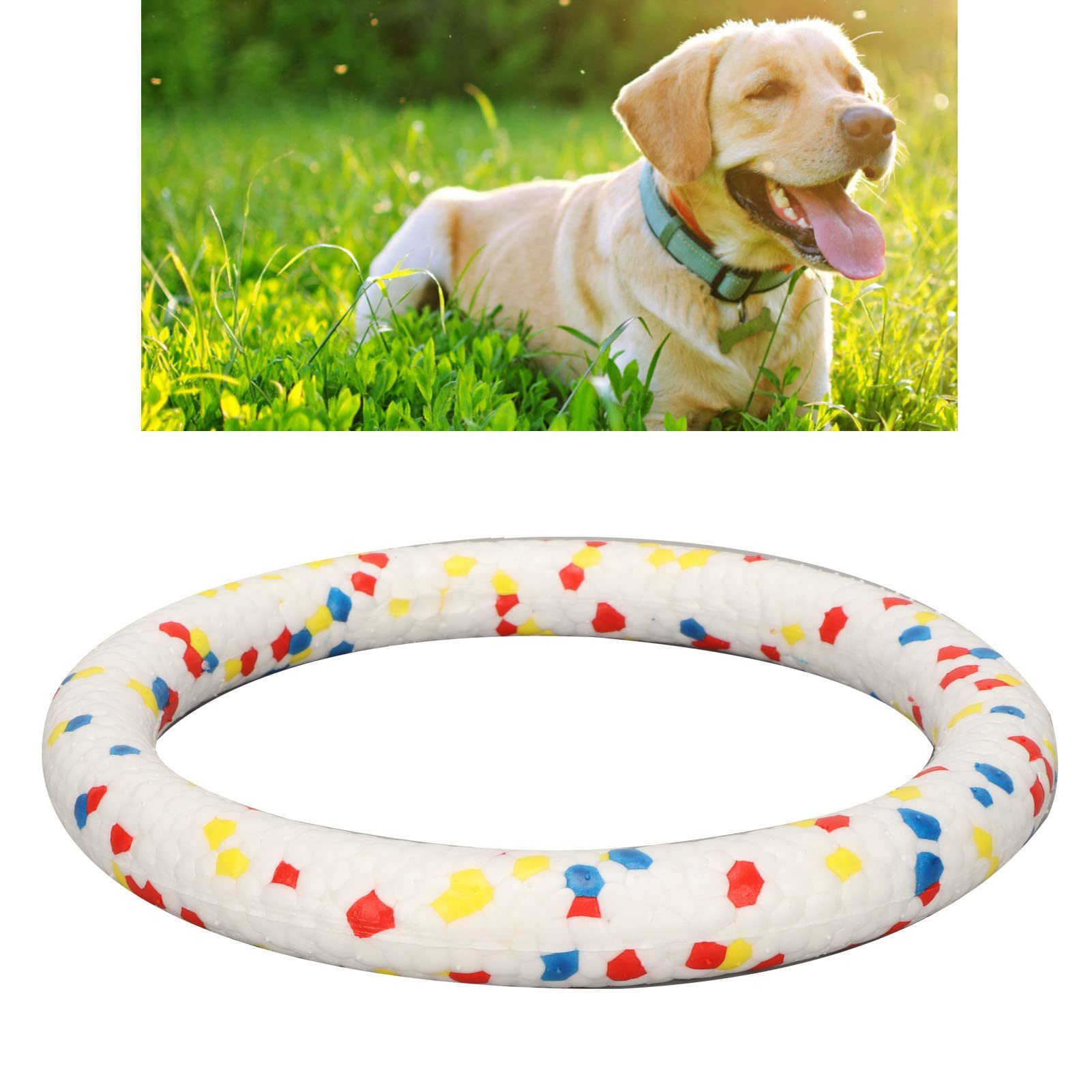 Dog Flying Discs Ring Toys, Dog Training Ring Toys ETPU Czyszczenie Jamy Ustnej na Zewnątrz dla Psa