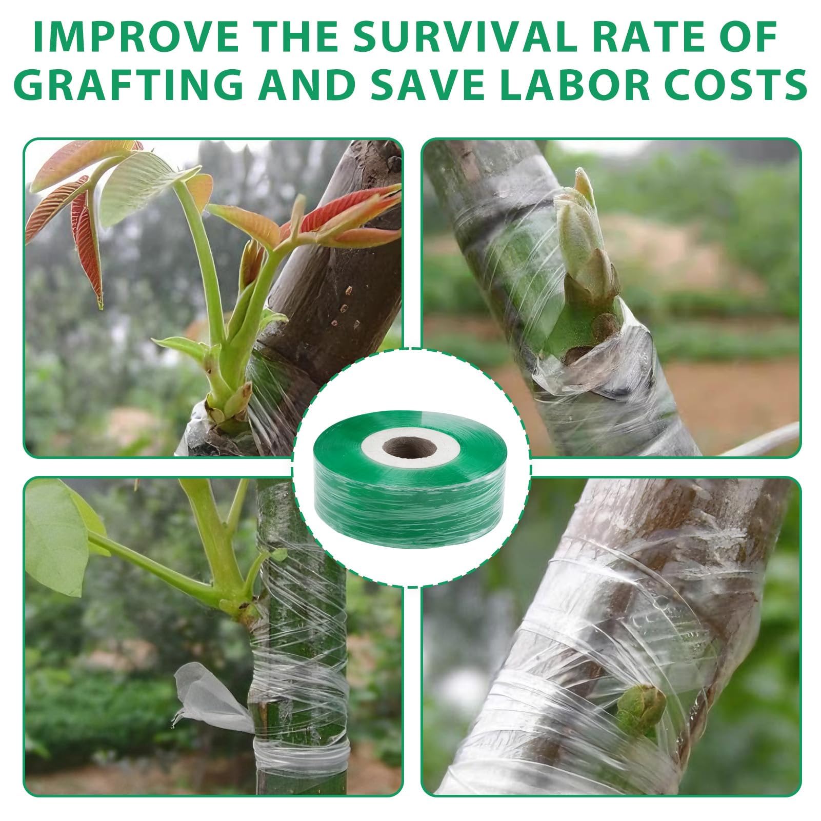 Cinta de Injertar Transparente Árboles de Jardín, 4 Rollos, Biodegradable Cinta Injerto Autoadhesivo, para Árboles Frutales, Plántulas, Flores y Viveros