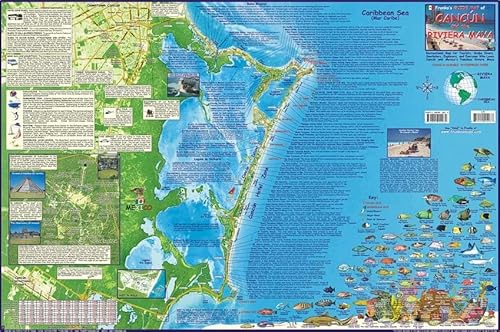 Franko Guide to Cancun and the Riviera Maya Fold up Map What to Do & Fish ID [Misc.] [Misc.] [Misc.] [Misc.] [Misc.] [Misc.] [Misc.] [Misc.] [Misc.] [Misc.] [Misc.] [Misc.] [Misc.] [Misc.] [Misc.] [Misc.] [Misc.]