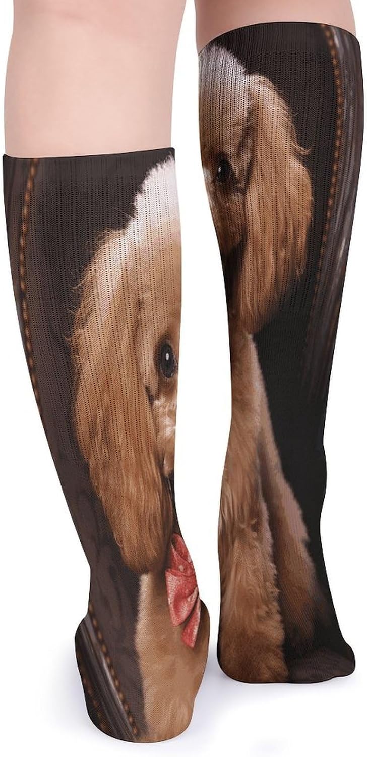 Poodle Knee High Socks Cozy Knee High Socks Soft Mid-Length Sock for All Seasons Daily Wear Adult
