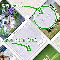 Vista 736 de Razas de Perros 2017