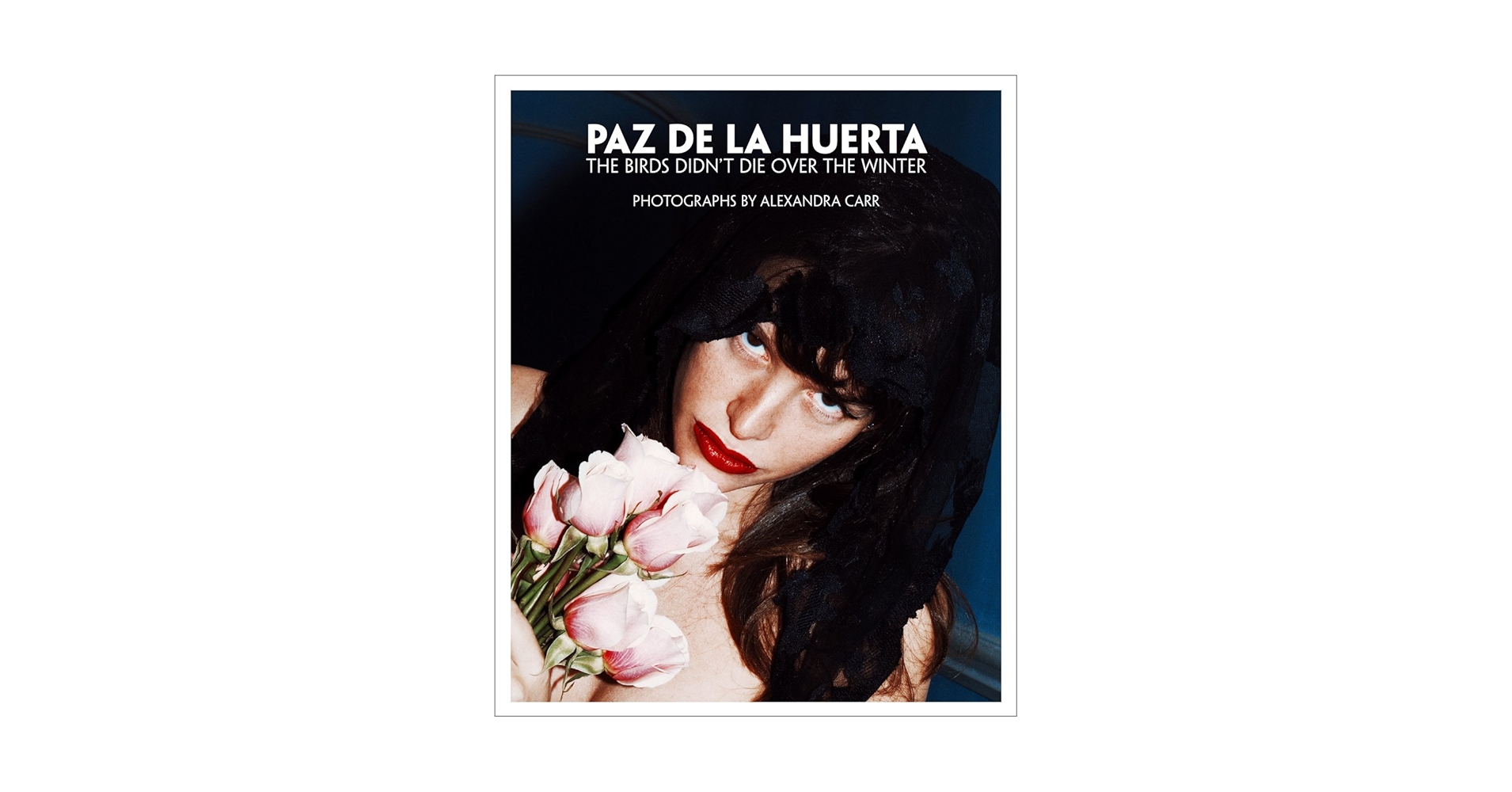 洋書 PAZ DE LA HUERTA ALEXANDRA CARR Paz de La Huerta - The Birds