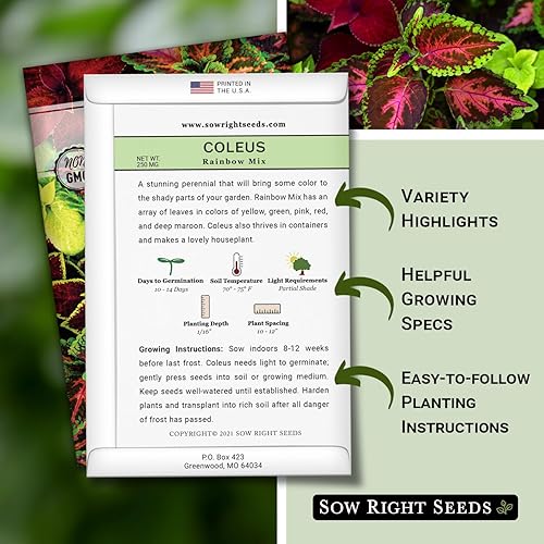 Miniatura 2 de Sow Right Seeds - Semillas Coleus Rainbow Mix para plantar - Hermosas flores para plantar en el jardín de tu casa - En interiores o exteriores -