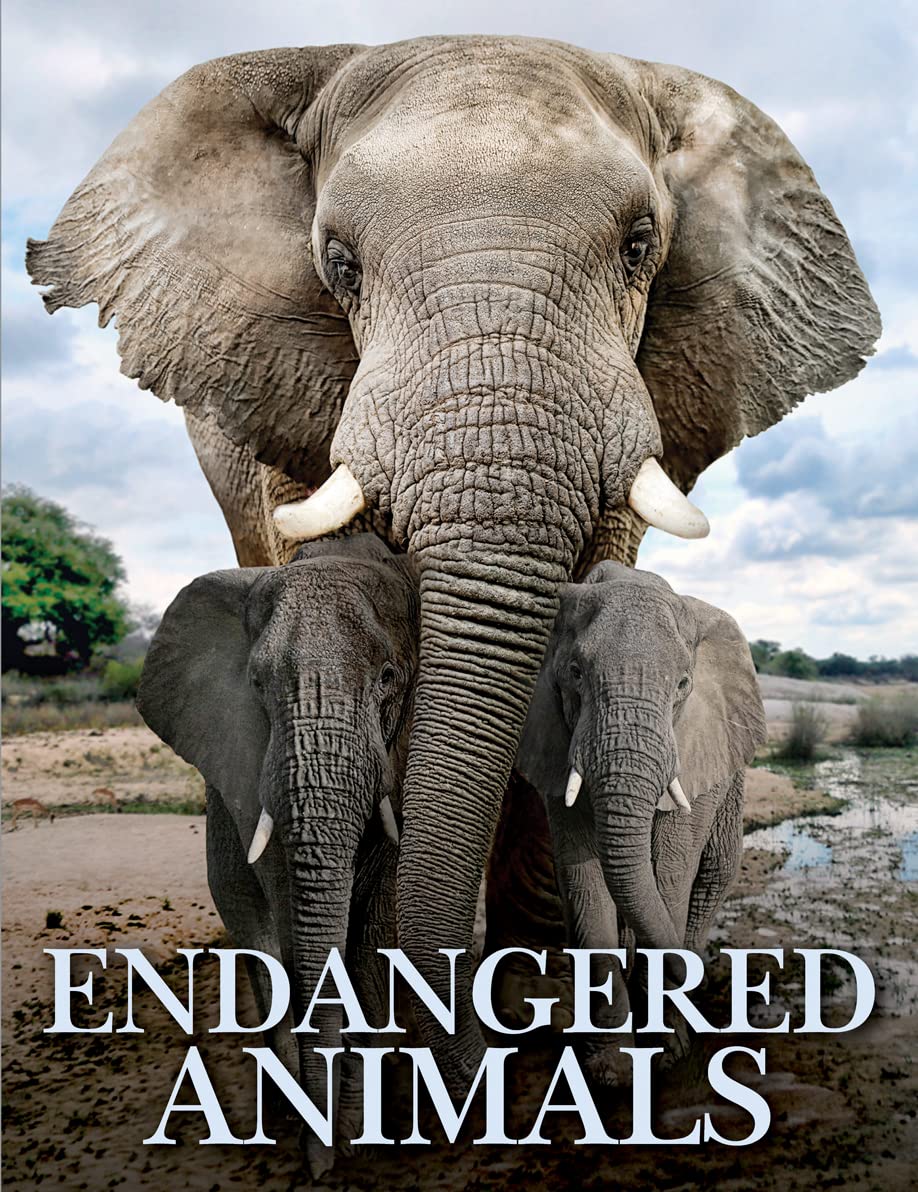 Endangered Animals (Animals in Photographs)