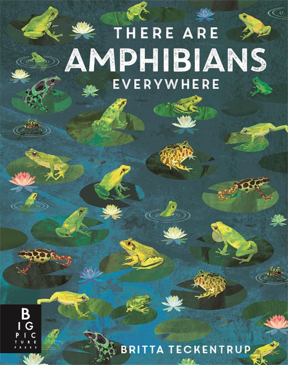 There Are Amphibians Everywhere (Britta Teckentrup Everywhere)