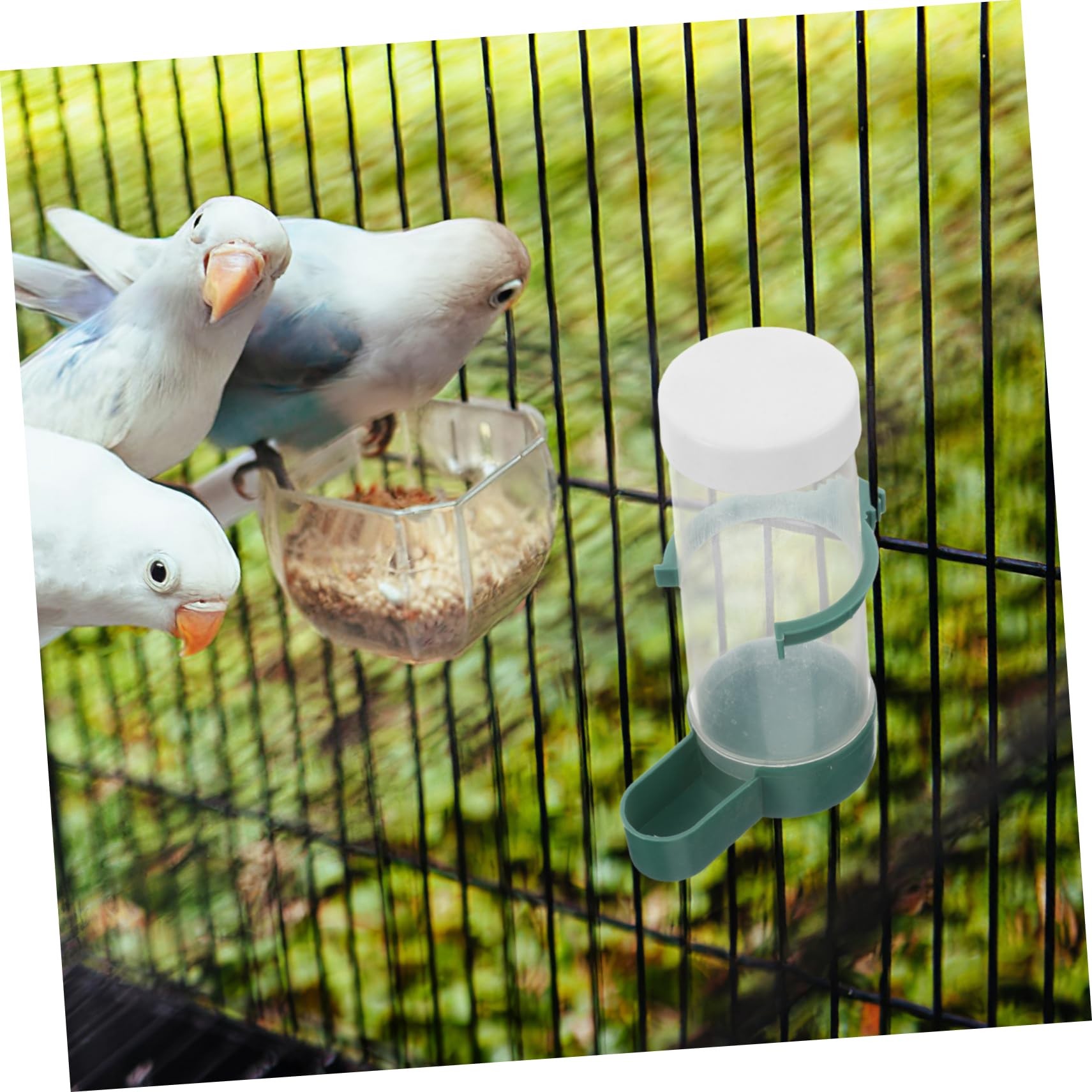 Yardwe 20pezzi Mangiatoia Per Uccelli Distributore Di Cibo Per Parrocchetti Canarini Fringuelli Inseparabili Autoalimentazione Caricamento Dall Design Specifico Per Uccelli Applicazione f