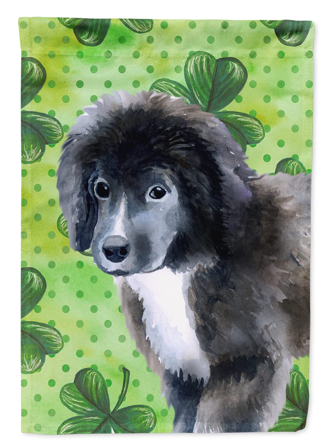 Drapeau Terre-Neuve pour maison grand format toile décorative fête de la Saint-Patrick
