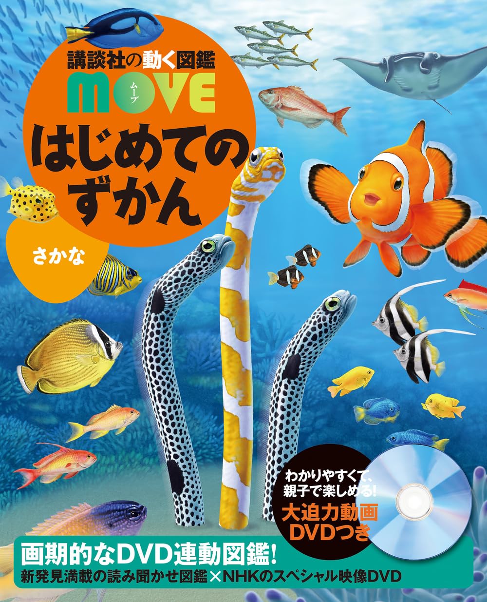 はじめてのずかん さかな (講談社の動く図鑑MOVE) | 瀧 靖之, 宮崎