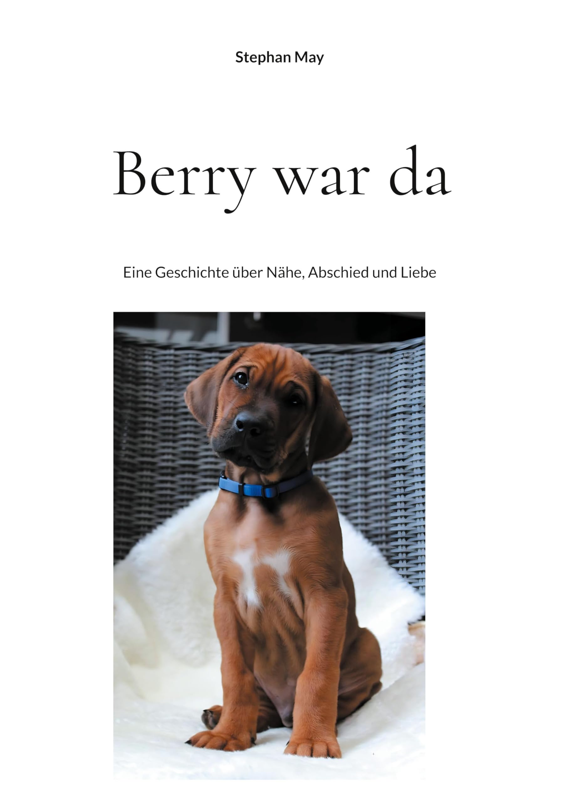 Berry war da: Eine Geschichte über Nähe, Abschied und Liebe