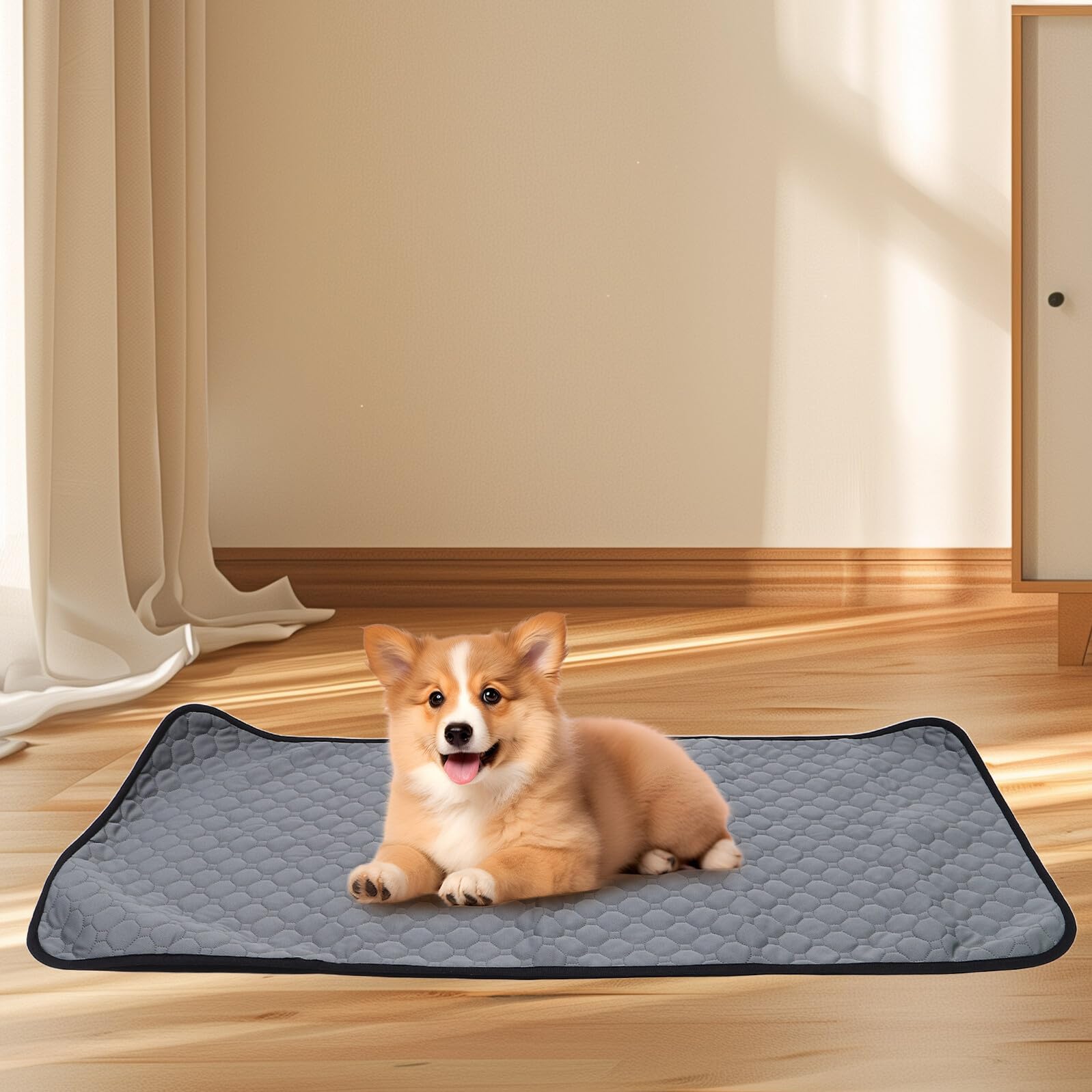 Alfombrilla para Mascotas Reutilizable y Lavable 60X120 CM 3 Unidades Empapadores Absorbentes E Impermeables para Entrenamiento de Perros y Cachorros Base Antideslizante