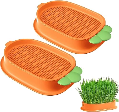 Maceta de césped para gatos, kit de maceta hidropónica para gatos, fácil de plantar sin suelo, kit de cultivo de hierba para gatos, hierba para
