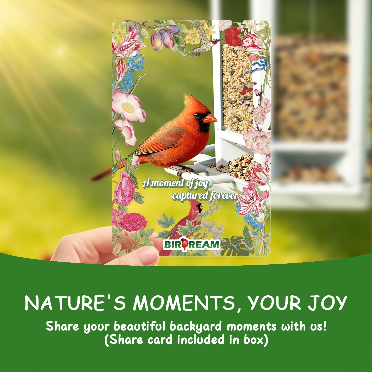 Birdream 2 Pack Solar Bird Feeders for Outdoors Hanging, Assembly Required, 1-Min Easy Setup, Wild Seed Feeders for Cardinals Chickadees and Finches