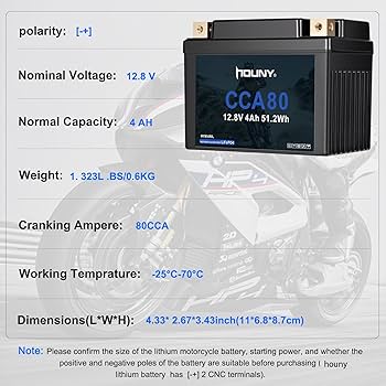 CELLＣＵＲＥ 4tplus Transfection of Primary Cells | Lonza