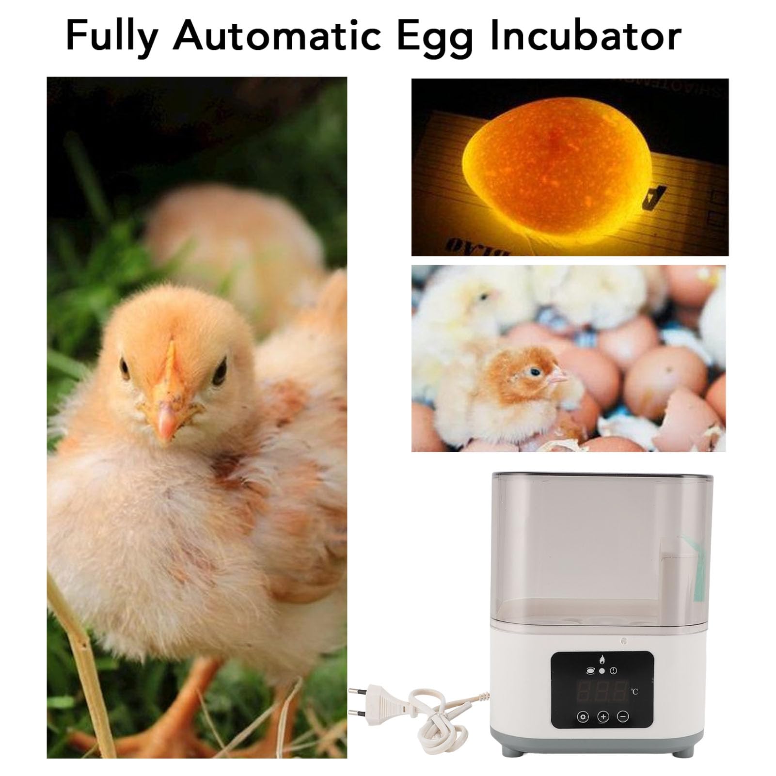 SENECESLI 6 Incubatore di Uova con Display a Temperatura, Tornatore di Uova Automatico per Cova di Polli, Finestra Trasparente a 360 Gradi, Incubatrice per Polli
