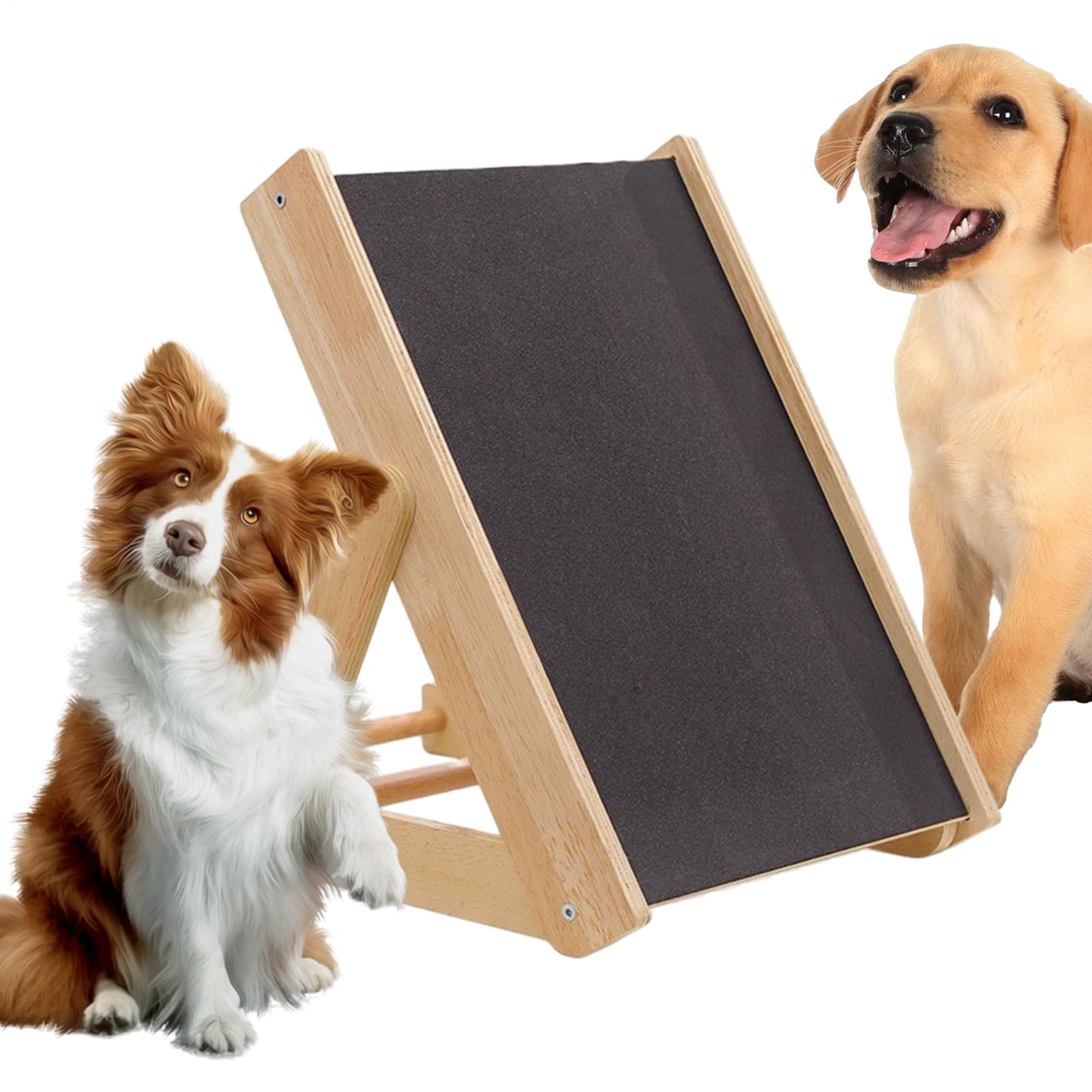 Griffoir pour chien réglable à 3 hauteurs pour soin des griffes