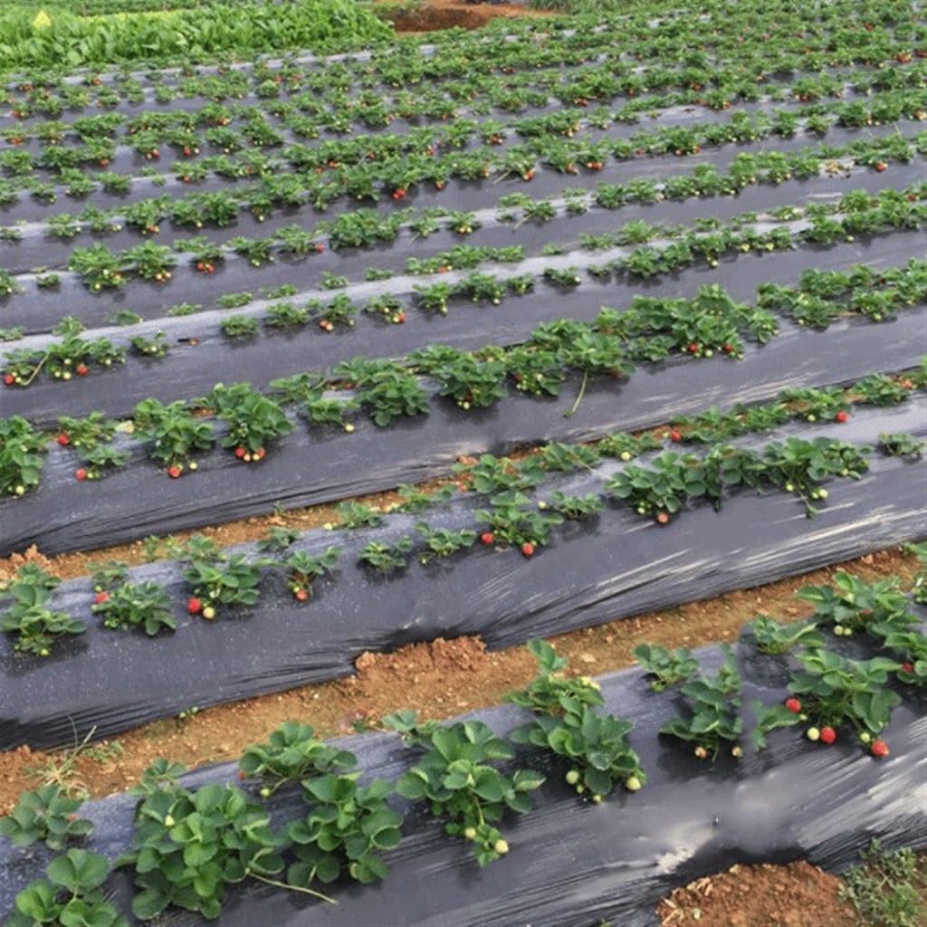 Film agricole Noir épais de 25 m, 0,01 mm, for la Plantation de légumes, Films de paillage en Plastique, contrôle des Mauvaises Herbes, Maintien au Chaud, Film de Culture(Width 0.8m)