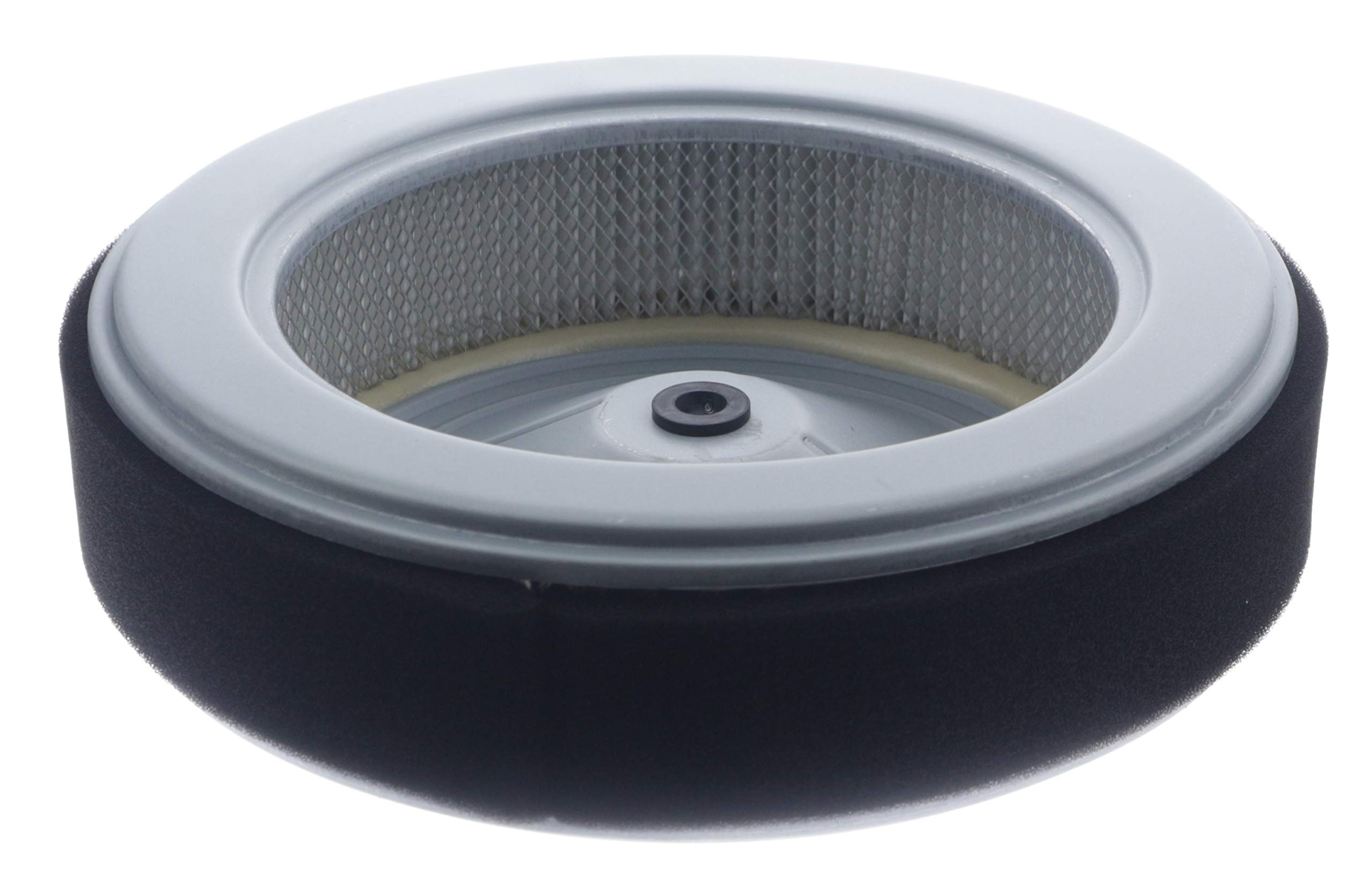 Amazon.com: Cnfaner 17210-Z6L-010 Air Cleaner Element Air Filter