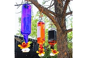 Wine Bottle Hummingbird Feeder Adapter: Turn Recycled Bottles into Hummingbird Oasis