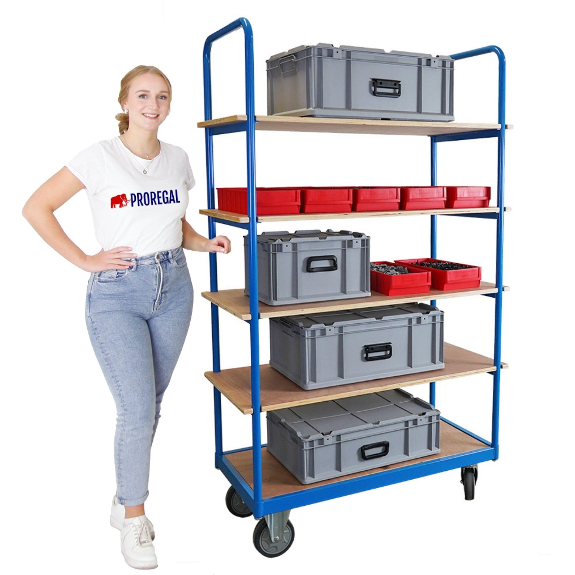 PROREGAL Profi Etagenwagen Kommissionierwagen Kommissionierregal Regalwagen mit 5 Etagen | HxBxT 186x111X50cm | Traglast 400 kg | 2X Lenkrollen mit Feststellbremse & 2X Bockrollen | Lichtblau