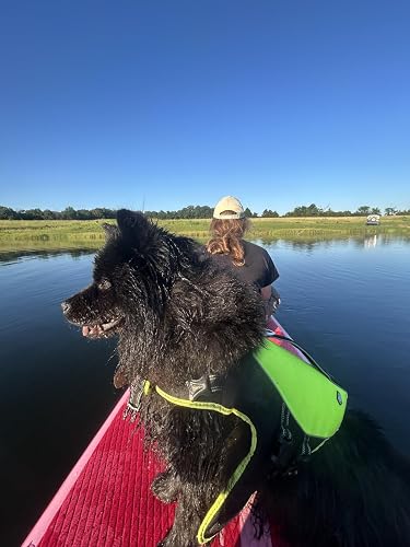 Review Image by Amazon Customer