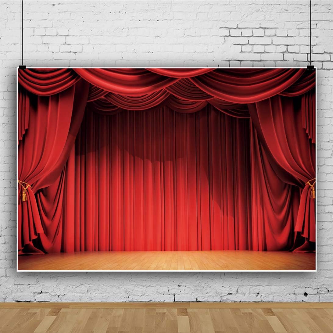 Haoyiyi 10x6.5ft Red Curtain Backdrop Red Theater Stage Wooden Floor Music Theater Photography Background Stage Magic Show Wedding Birthday Party Decoration Baby Adults Portraits Photo Studio Props