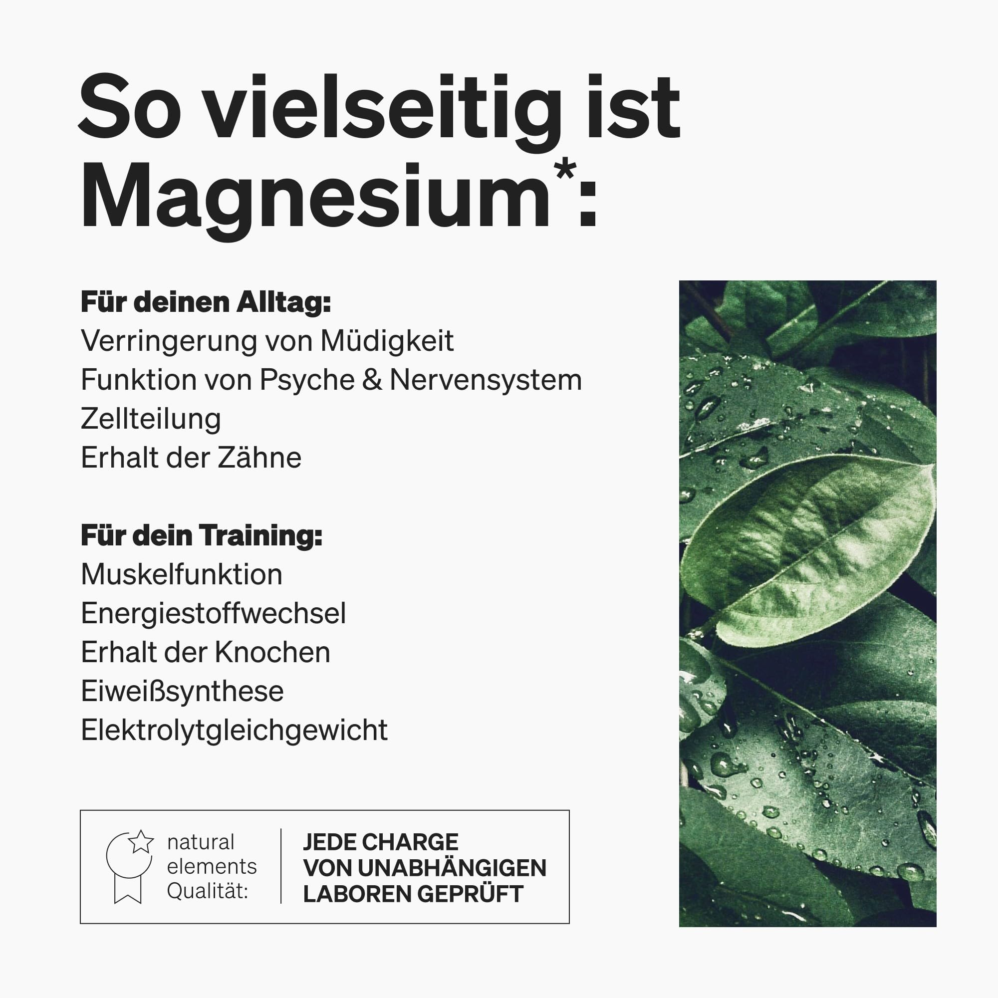 natural elements Magnesiumcitrat – 360mg elementares Magnesium pro Tagesdosis – 365 vegane Kapseln – 4-Monats-Vorrat – hochdosiert, ohne Zusätze – in Deutschland entwickelt & laborgeprüft