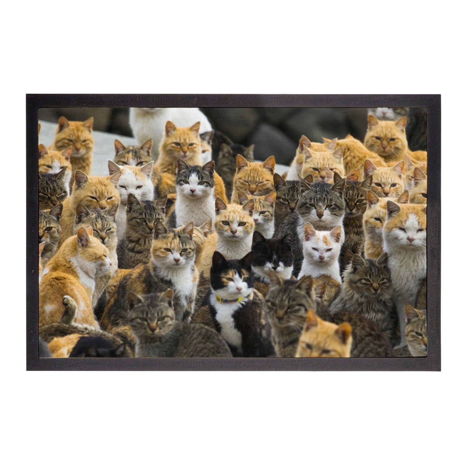 Paillasson chat mignon Umashima 60x40cm idée cadeau pendaison de crémaillère
