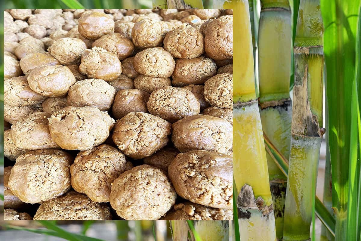 Bandhal Desi Gur Gudd Homemade Jaggery Cubes 2 kg.Jaggery Ball Bheli Pure Natural, Sugarcane Jaggery Natural Sweetener Preservatives Free Jaggery Cube Gud Jaggery Organic Cubes Sharkkara Gudh Pack of 1 (B09RFV9532) Amazon Price History, Amazon Price Tracker