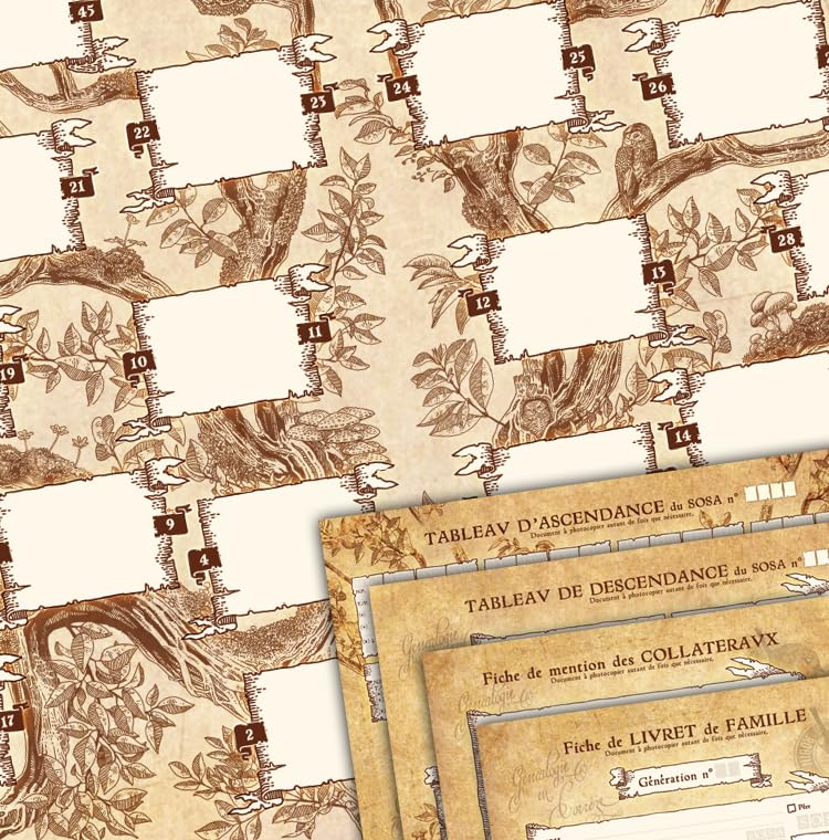 Arbre généalogique 7 générations imprimé sur papier durable de 240g avec guides inclus