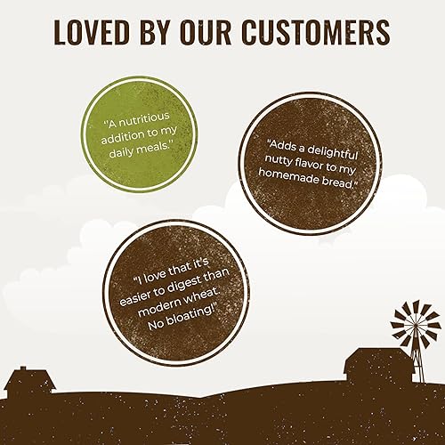 Miniatura 5 de Grand Teton Ancient Grains - Bayas de espelta 100% orgánicas, espelta de grano orgánico Farro cultivada en Estados Unidos en un súper cubo de 6