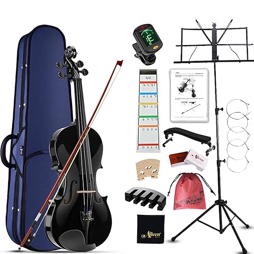 Aileen 4/4 Violon pour Adultes Débutants et Enfants 12+, Kit