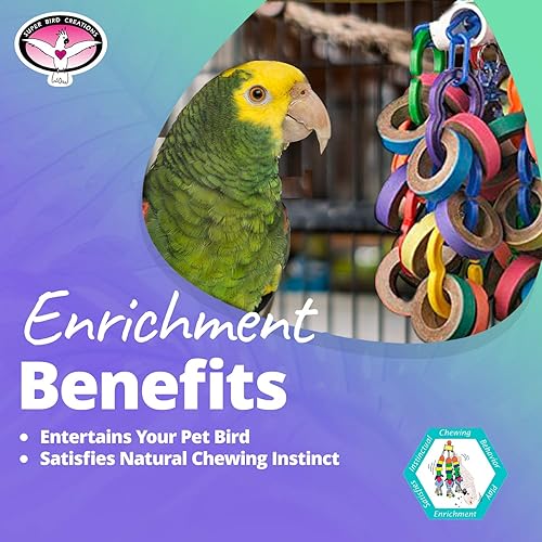 Miniatura 5 de Super Bird Creations SB1107 Bagel Cascade Bird juguete, tamaño grande, bagels recargables, 15 "x 4.5"