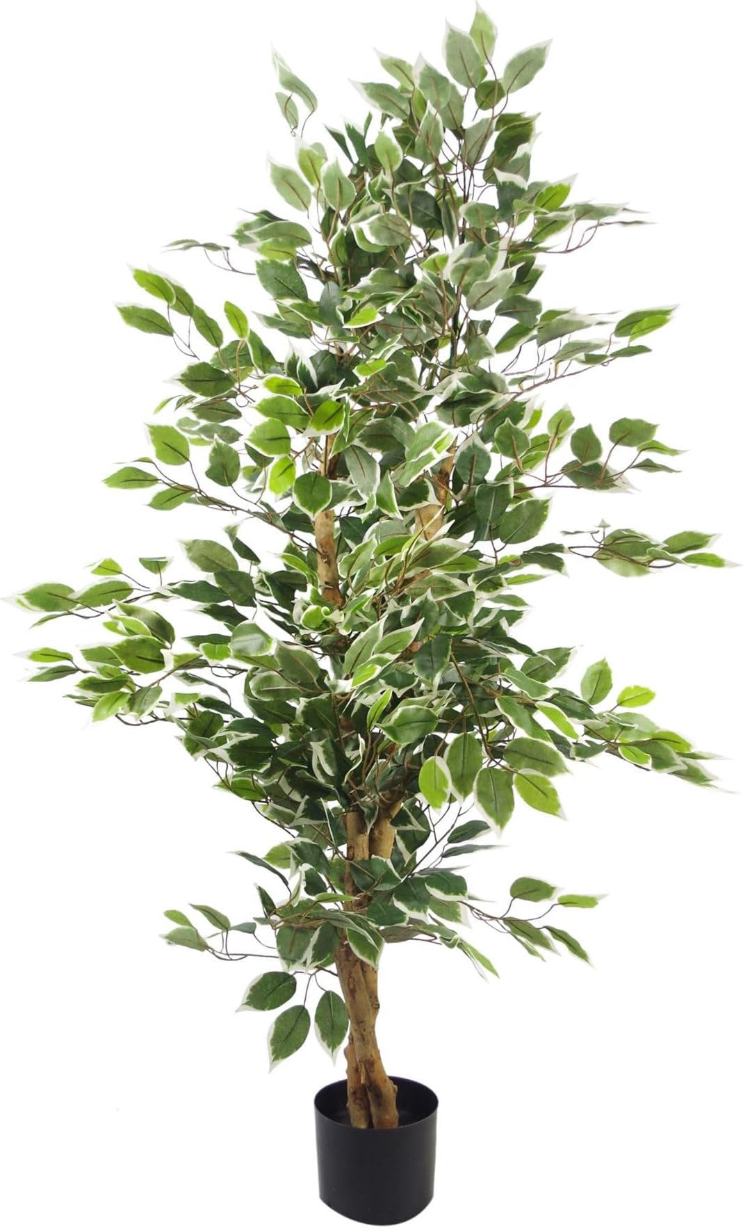 Leaf Artificial Ficus Tree/Plant, White Edge Bushy, 120cm